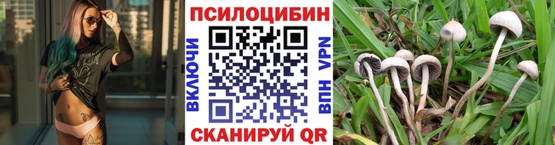 это формула  Евпатория  Псилоцибиновые грибы GOLDEN TEACHER 