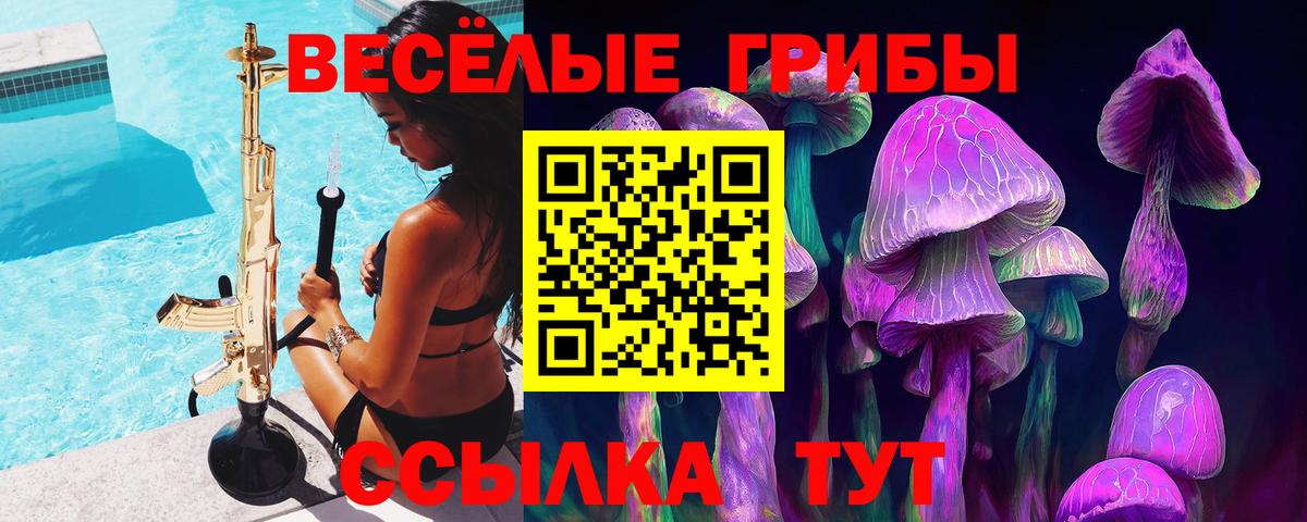 Псилоцибиновые грибы ЛСД  наркота  Вход с VPN  Евпатория  Псилоцибиновые грибы Psilocybe 